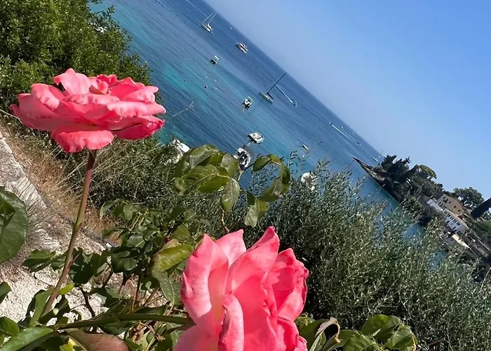 Aronis Spyros Panoramic Seaview * Λογγός